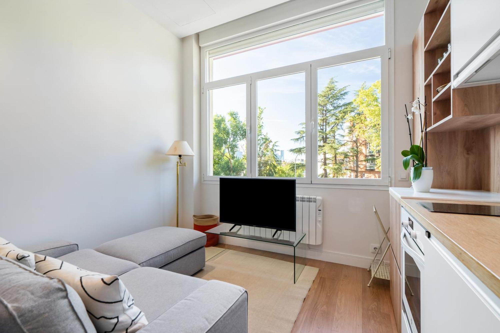 Encantador Estudio Chamartin Madrid Ngoại thất bức ảnh